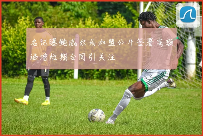 名记曝鲍威尔或加盟公牛签署高额递增短期合同引关注