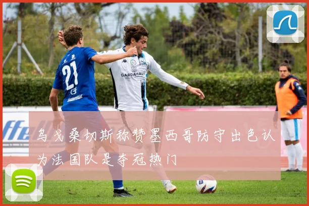 乌戈桑切斯称赞墨西哥防守出色认为法国队是夺冠热门